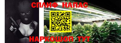 apvp Рузаевка