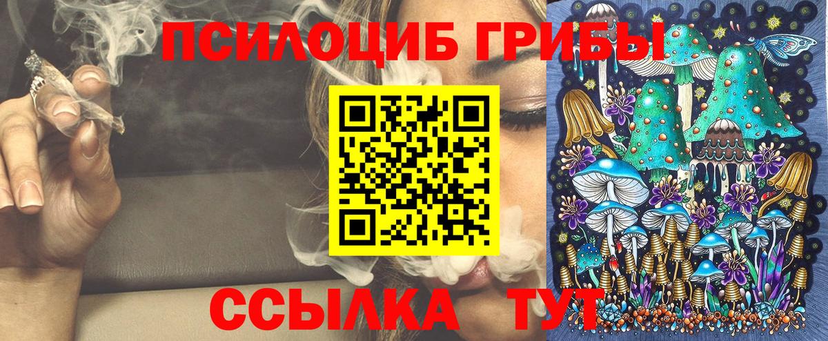 Рассказово  Псилоцибиновые грибы ЛСД  Вход с VPN 