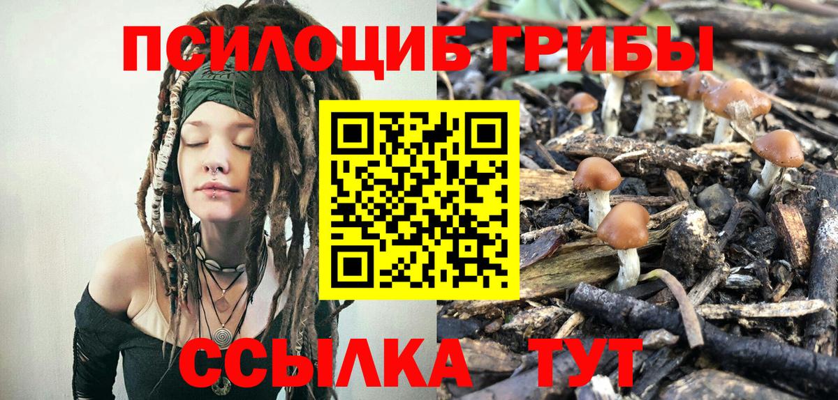 Галлюциногенные грибы MAGIC MUSHROOMS Рассказово